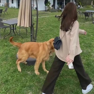 超能锦衣卫·藏龙秘术