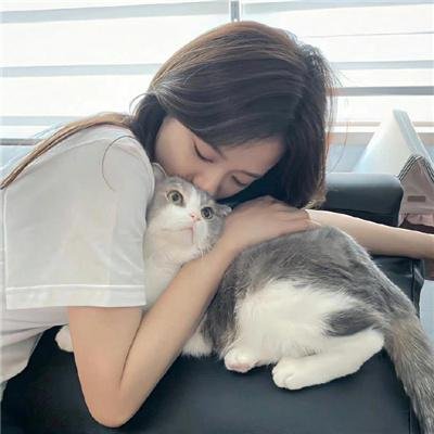 食来运转